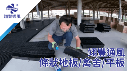 Install slatted floor, reducing poultry diseases